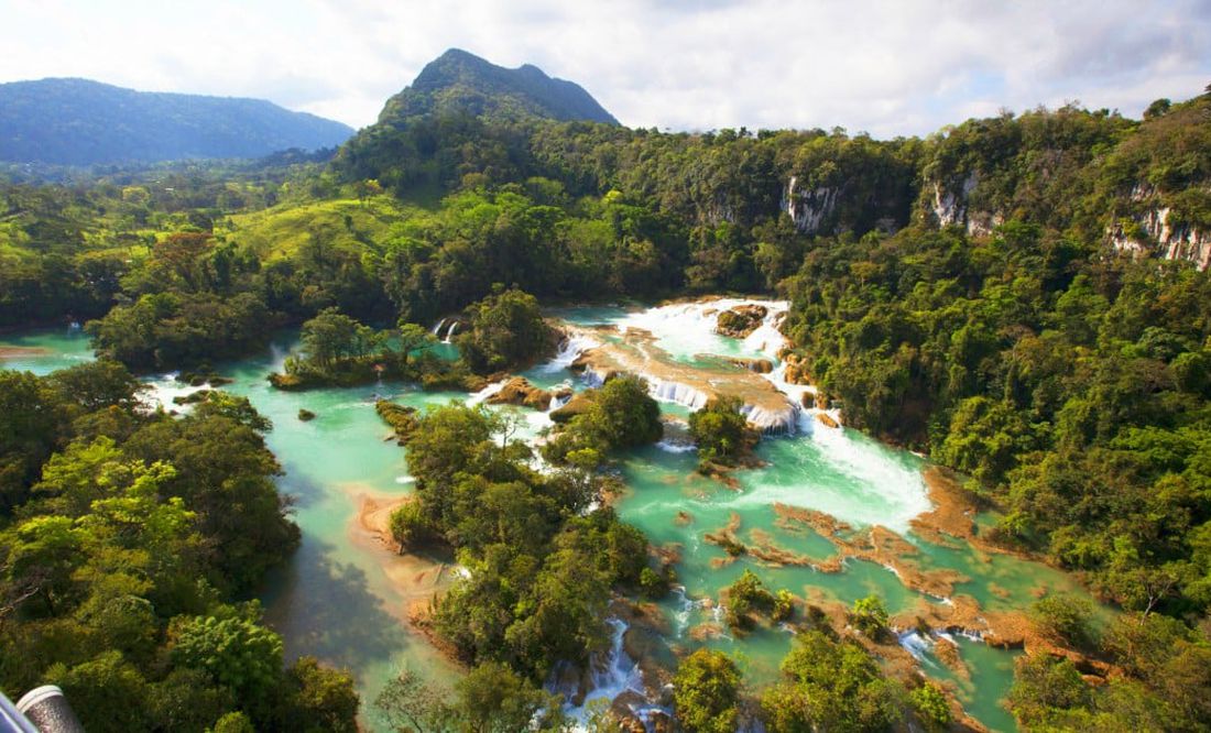Selva lacandona Chiapas