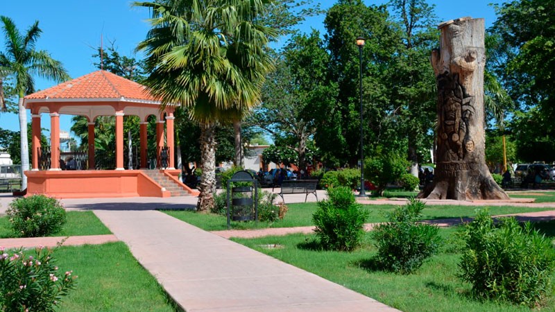 Cocorit Sonora 281 - Kiosco