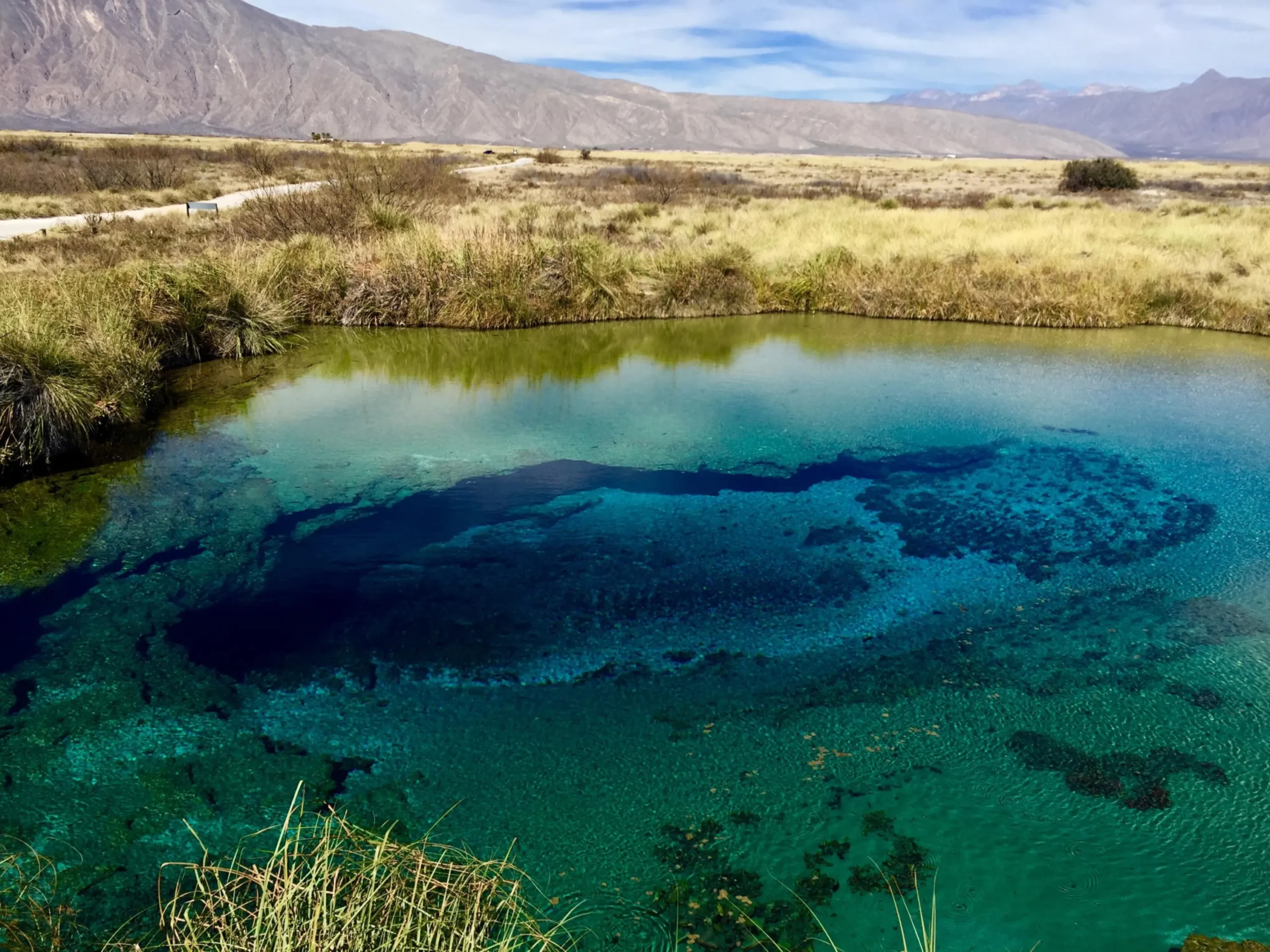 Cuatro Cienegas 281 - Playitas Paisajes
