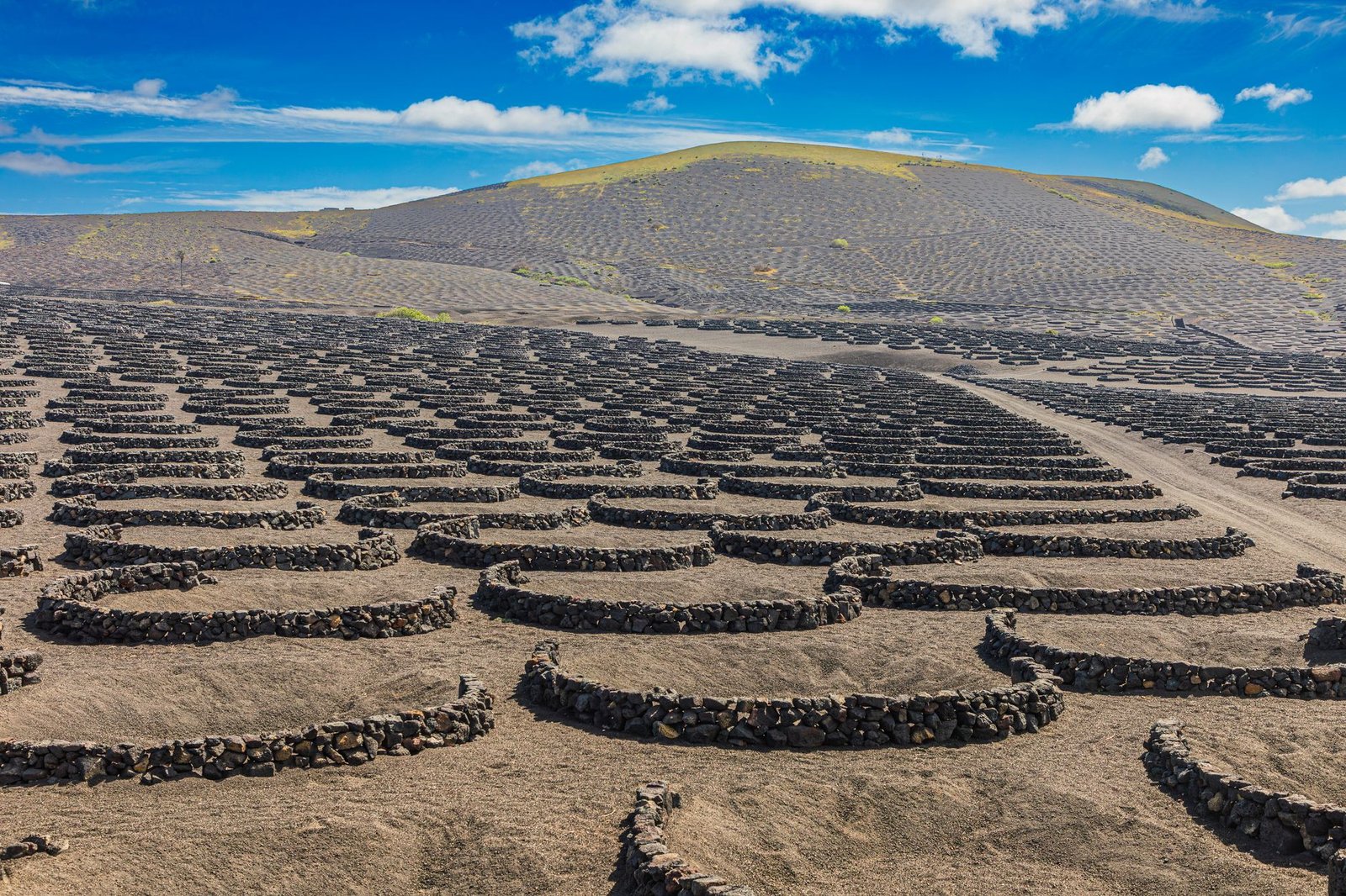 Parras de la Fuente